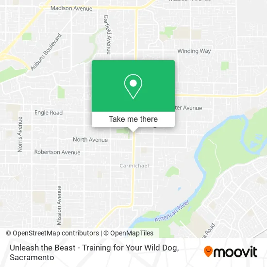 Unleash the Beast - Training for Your Wild Dog map