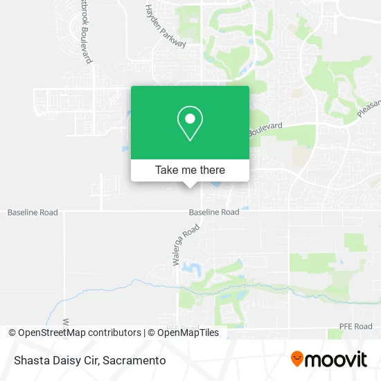 Shasta Daisy Cir map