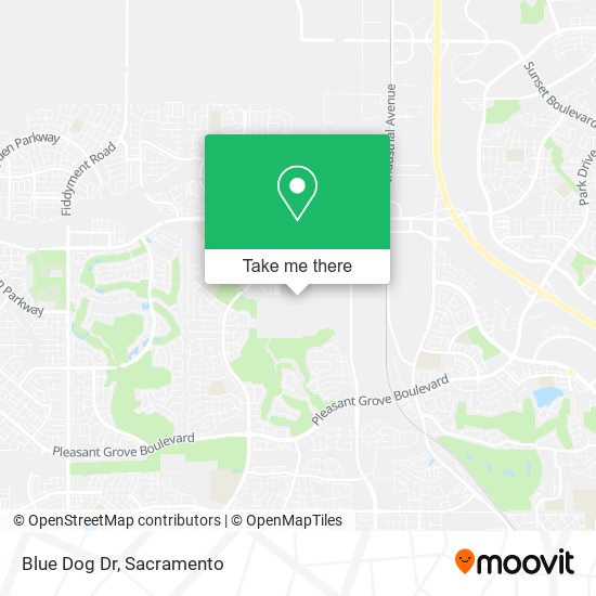 Blue Dog Dr map