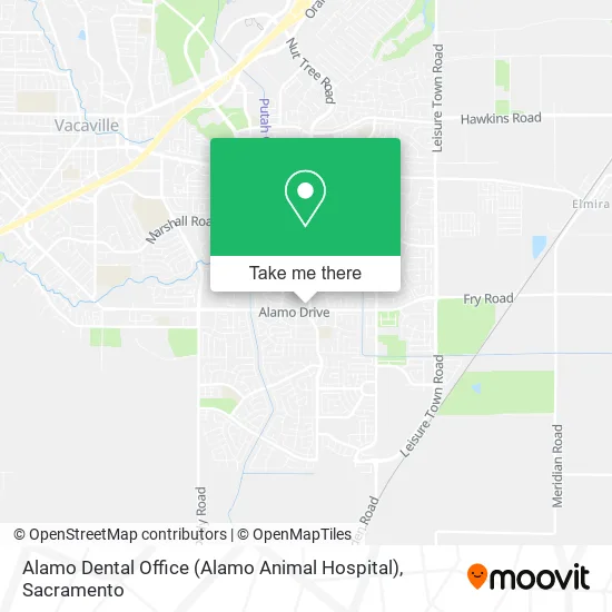 Alamo Dental Office (Alamo Animal Hospital) map