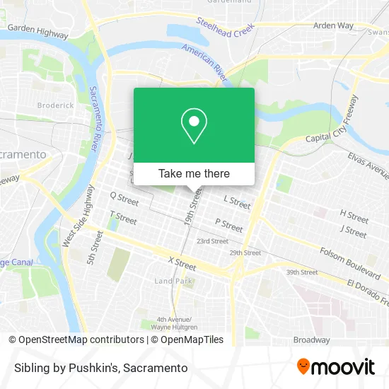 Sibling by Pushkin's map