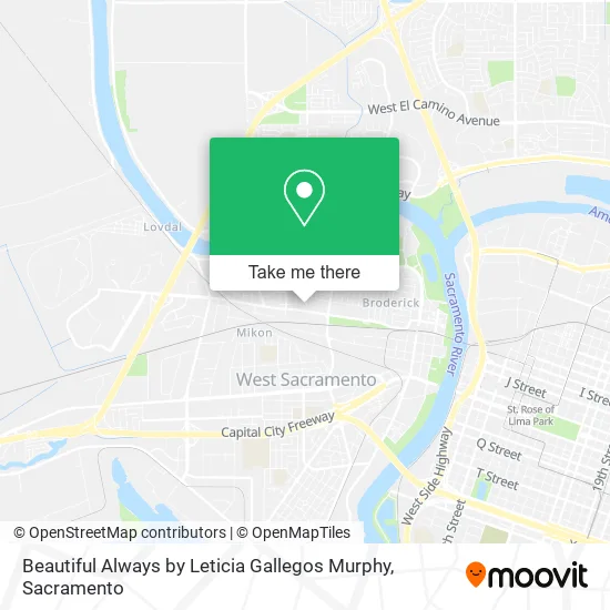 Beautiful Always by Leticia Gallegos Murphy map