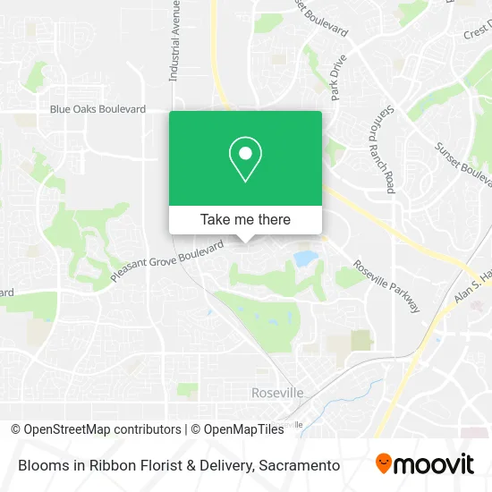 Blooms in Ribbon Florist & Delivery map