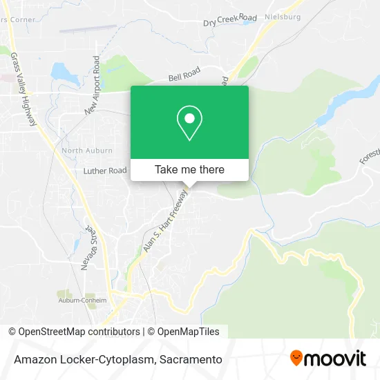 Mapa de Amazon Locker-Cytoplasm