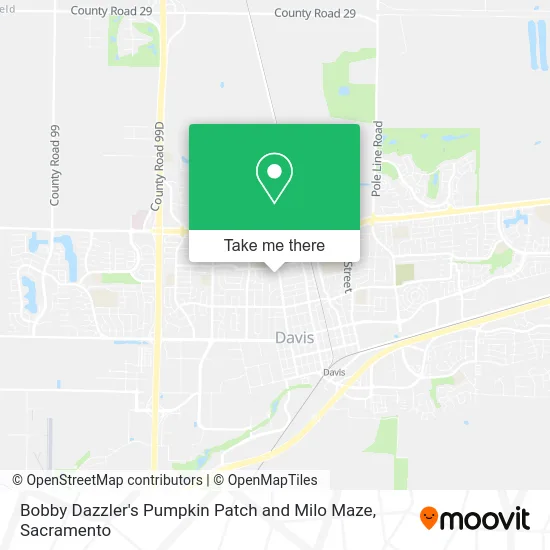 Bobby Dazzler's Pumpkin Patch and Milo Maze map