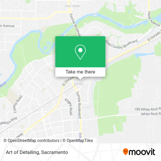 Art of Detailing map