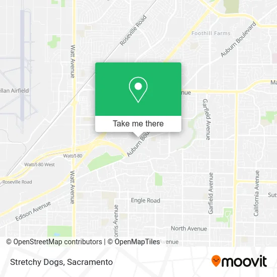 Mapa de Stretchy Dogs