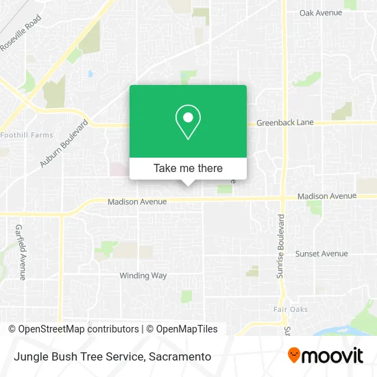 Jungle Bush Tree Service map