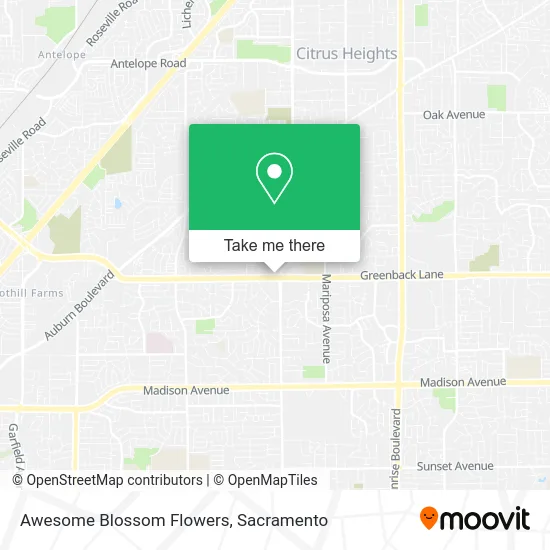 Awesome Blossom Flowers map