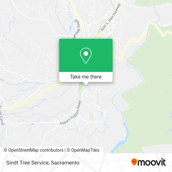 Sindt Tree Service map