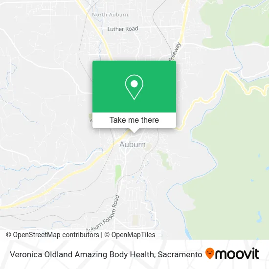 Veronica Oldland Amazing Body Health map