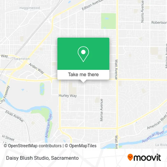 Mapa de Daisy Blush Studio