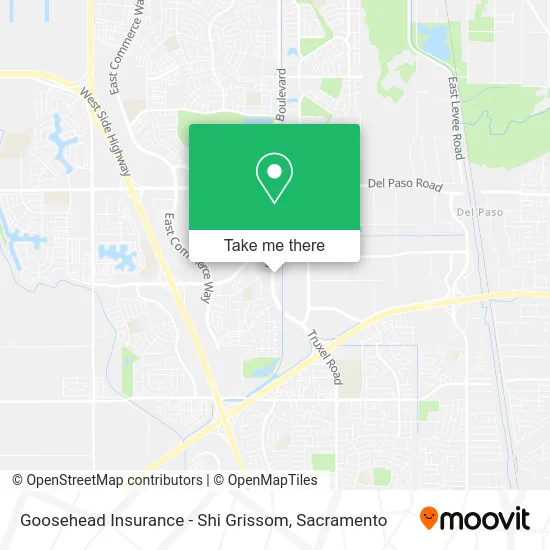 Goosehead Insurance - Shi Grissom map