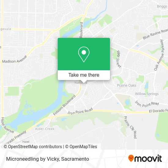 Mapa de Microneedling by Vicky