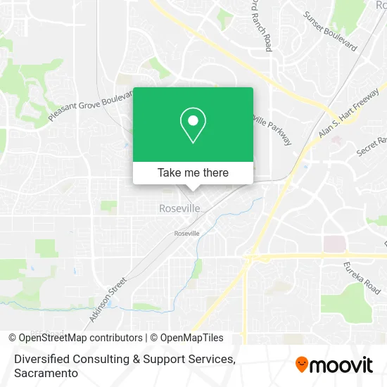 Mapa de Diversified Consulting & Support Services