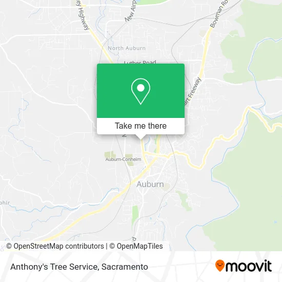 Mapa de Anthony's Tree Service
