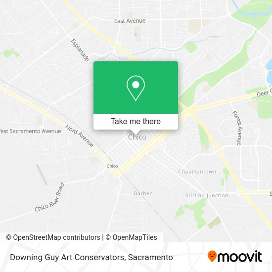 Mapa de Downing Guy Art Conservators