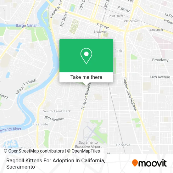 Ragdoll Kittens For Adoption In California map