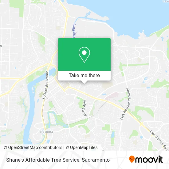Shane's Affordable Tree Service map