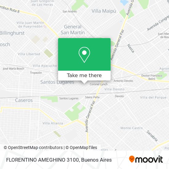 FLORENTINO AMEGHINO 3100 map