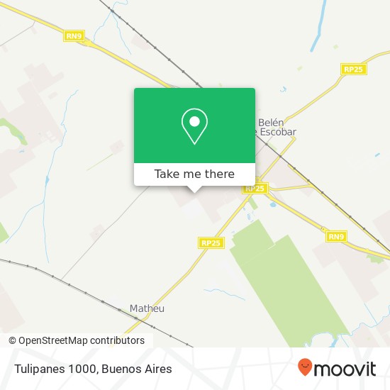 Mapa de Tulipanes 1000