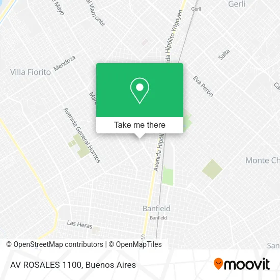 AV ROSALES 1100 map