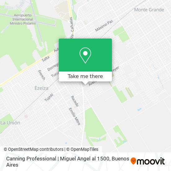 Canning Professional | Miguel Angel al 1500 map