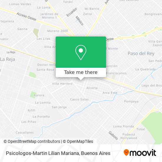 Psicologos-Martin Lilian Mariana map