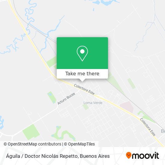 Águila / Doctor Nicolás Repetto map
