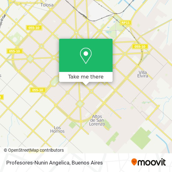 Profesores-Nunin Angelica map