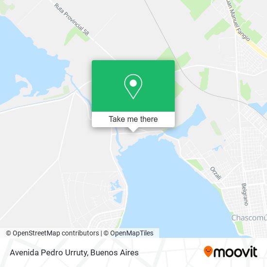 Avenida Pedro Urruty map