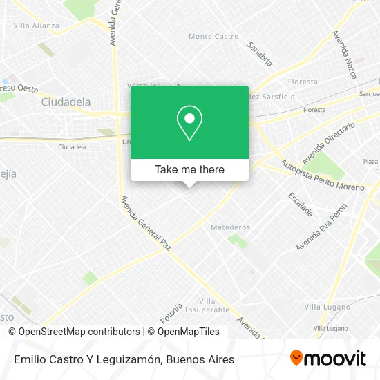 Emilio Castro Y Leguizamón map