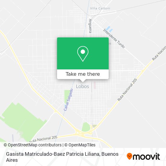 Gasista Matriculado-Baez Patricia Liliana map