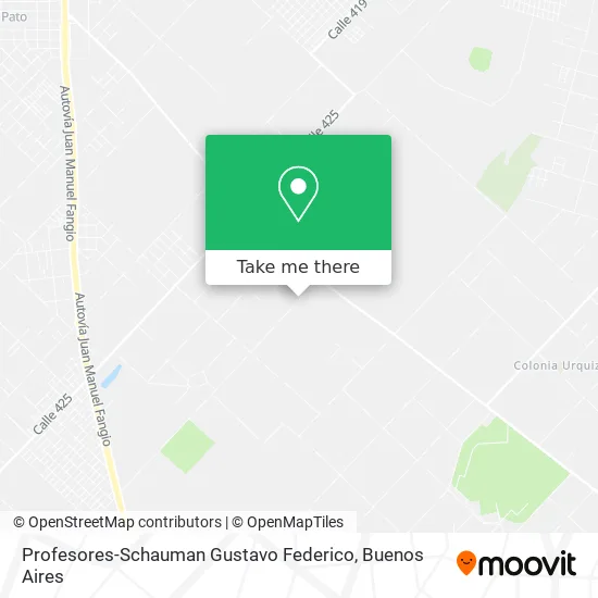 Mapa de Profesores-Schauman Gustavo Federico