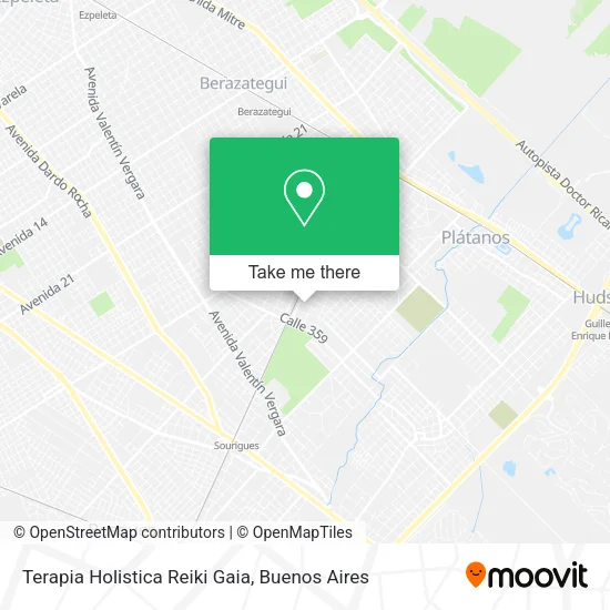 Terapia Holistica Reiki Gaia map