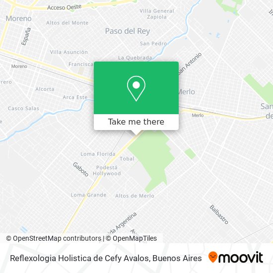 Reflexologia Holistica de Cefy Avalos map