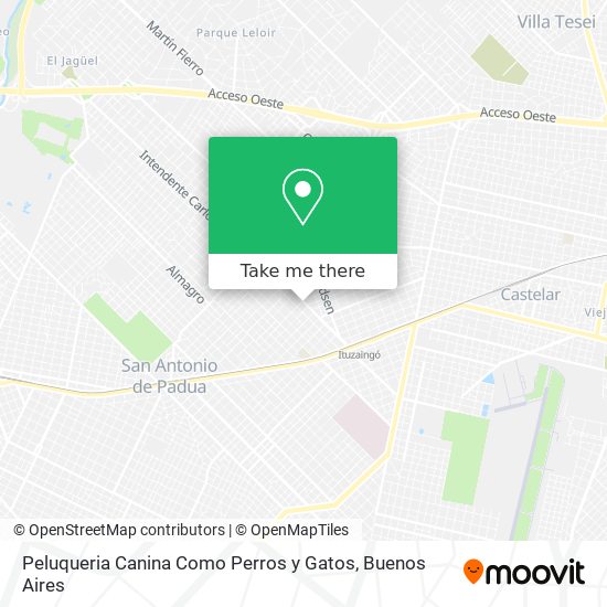 Peluqueria Canina Como Perros y Gatos map