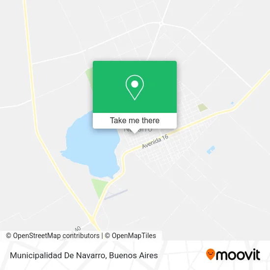 Mapa de Municipalidad De Navarro