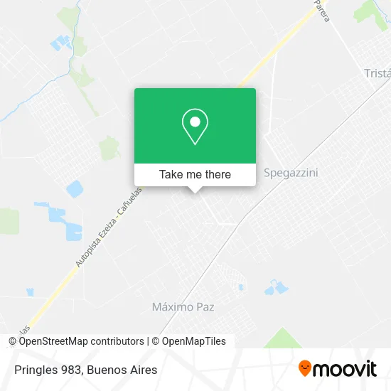 Pringles 983 map