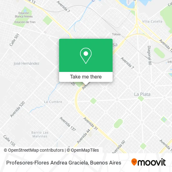 Profesores-Flores Andrea Graciela map