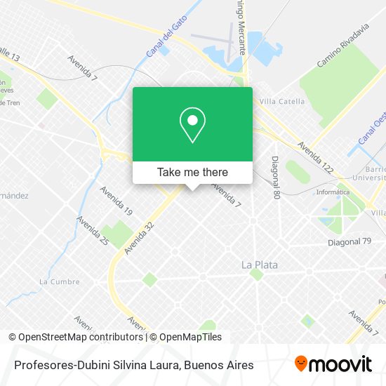 Mapa de Profesores-Dubini Silvina Laura