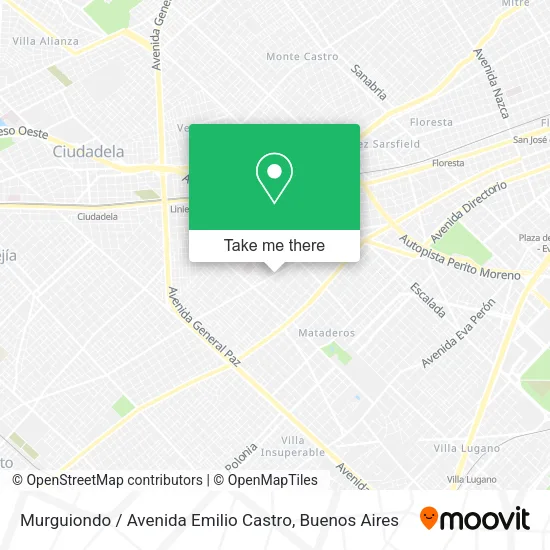 Murguiondo / Avenida Emilio Castro map