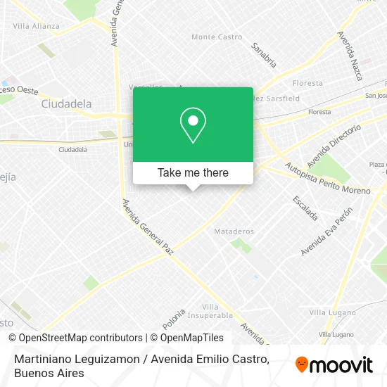Mapa de Martiniano Leguizamon / Avenida Emilio Castro