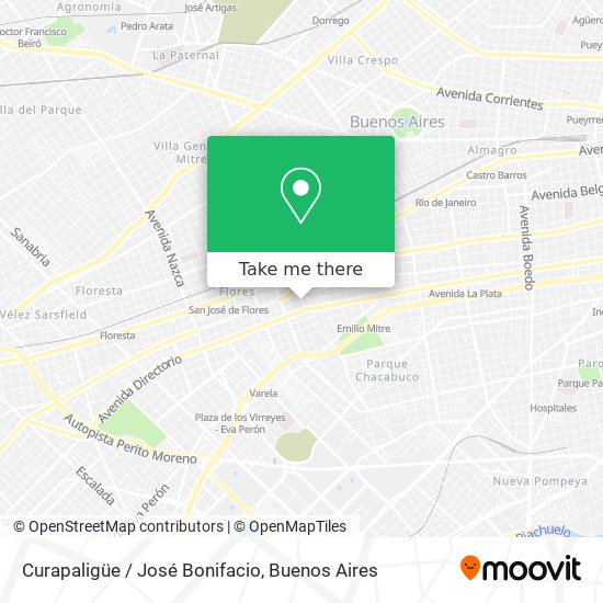 Curapaligüe / José Bonifacio map