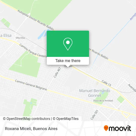Roxana Miceli map