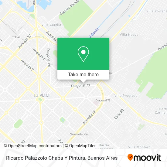 Ricardo Palazzolo Chapa Y Pintura map