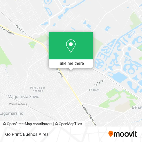 Go Print map