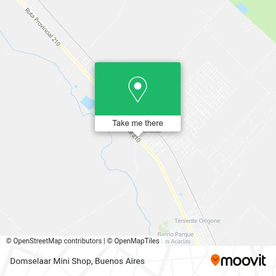 Domselaar Mini Shop map