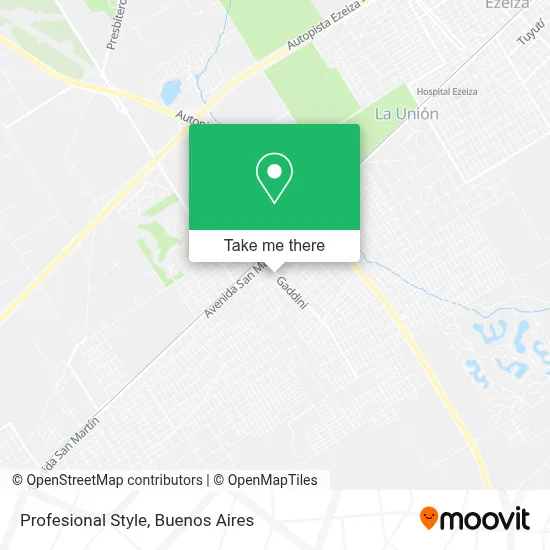 Profesional Style map