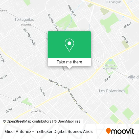 Gisel Antunez - Trafficker Digital map